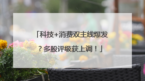科技+消费双主线爆发？多股评级获上调！