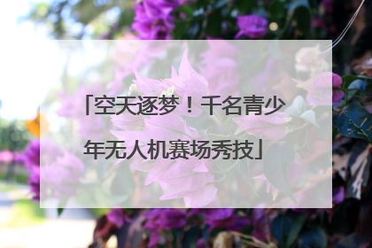 空天逐梦！千名青少年无人机赛场秀技