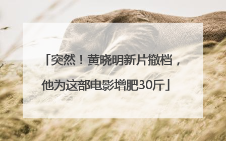 突然！黄晓明新片撤档，他为这部电影增肥30斤