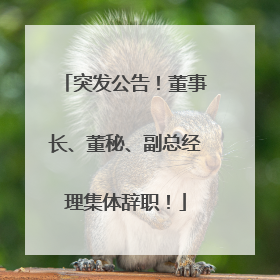 突发公告！董事长、董秘、副总经理集体辞职！