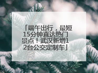 端午出行，最短15分钟直达热门景点！武汉新增12台公交定制车