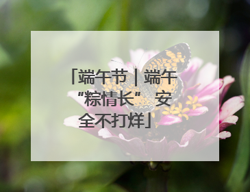 端午节｜端午“粽情长” 安全不打烊