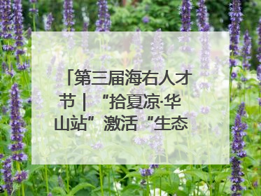 第三届海右人才节｜“拾夏凉·华山站”激活“生态聚才”强磁场