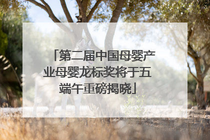 第二届中国母婴产业母婴龙标奖将于五端午重磅揭晓