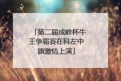 第二届成峰杯牛王争霸赛在科左中旗激情上演