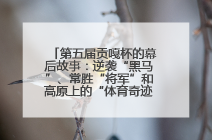 第五届贡嘎杯的幕后故事：逆袭“黑马”、常胜“将军”和高原上的“体育奇迹”丨微纪录