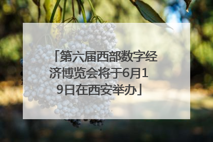 第六届西部数字经济博览会将于6月19日在西安举办