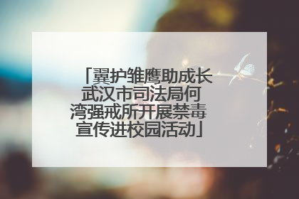 翼护雏鹰助成长 武汉市司法局何湾强戒所开展禁毒宣传进校园活动
