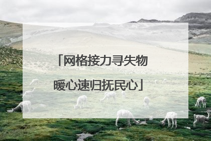 网格接力寻失物 暖心速归抚民心