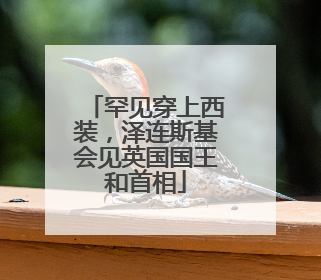 罕见穿上西装，泽连斯基会见英国国王和首相