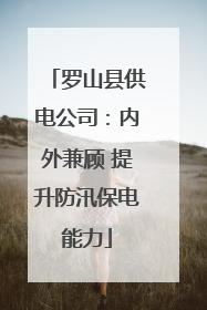 罗山县供电公司：内外兼顾 提升防汛保电能力