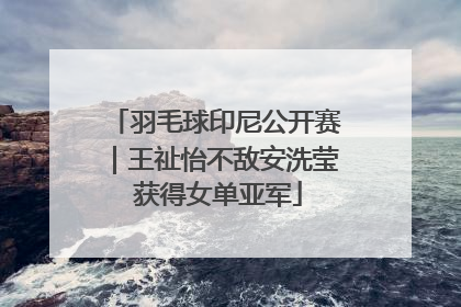 羽毛球印尼公开赛｜王祉怡不敌安洗莹 获得女单亚军