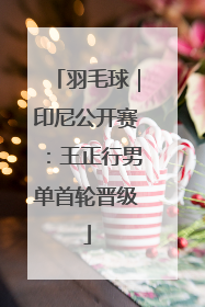 羽毛球｜印尼公开赛：王正行男单首轮晋级