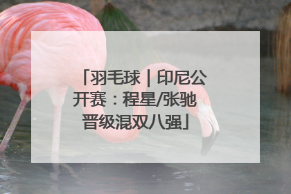 羽毛球｜印尼公开赛：程星/张驰晋级混双八强