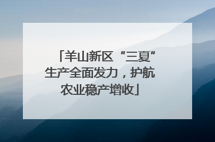 羊山新区“三夏”生产全面发力，护航农业稳产增收