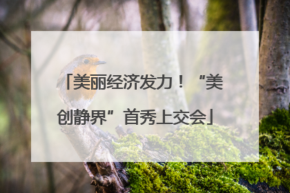 美丽经济发力！“美创静界”首秀上交会