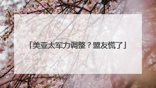 美亚太军力调整？盟友慌了