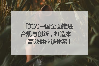 美光中国全面推进合规与创新，打造本土高效供应链体系