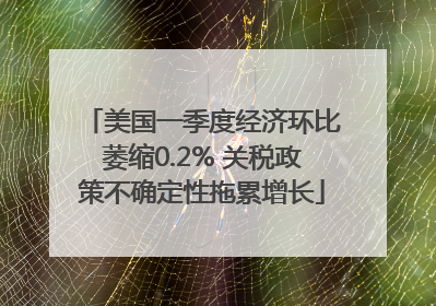 美国一季度经济环比萎缩0.2% 关税政策不确定性拖累增长