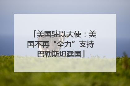 美国驻以大使：美国不再“全力”支持巴勒斯坦建国