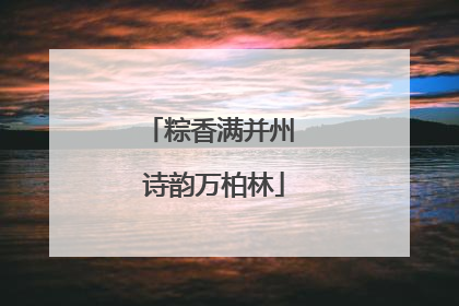 粽香满并州 诗韵万柏林