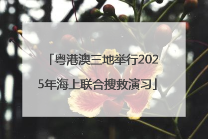 粤港澳三地举行2025年海上联合搜救演习