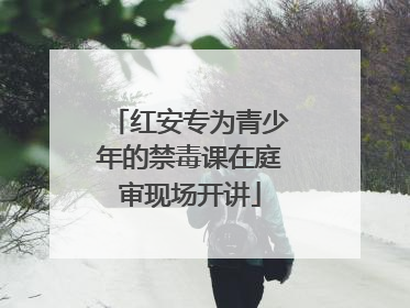 红安专为青少年的禁毒课在庭审现场开讲
