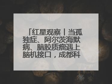 红星观察丨当孤独症、阿尔茨海默病、脑胶质瘤遇上脑机接口，成都科研改变医学图景
