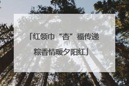 红领巾“杏”福传递 粽香情暖夕阳红