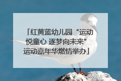 红黄蓝幼儿园“运动悦童心 逐梦向未来”运动嘉年华燃情举办
