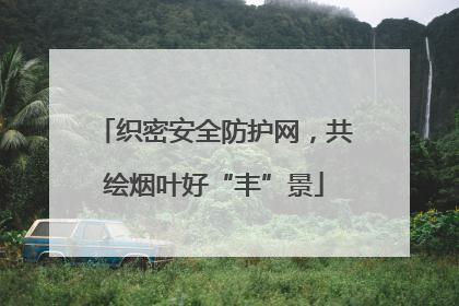 织密安全防护网，共绘烟叶好“丰”景