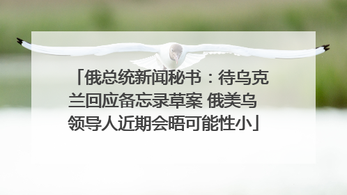 俄总统新闻秘书：待乌克兰回应备忘录草案 俄美乌领导人近期会晤可能性小
