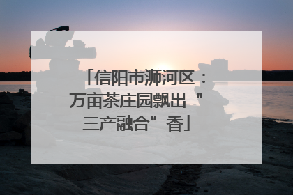 信阳市浉河区：万亩茶庄园飘出“三产融合”香