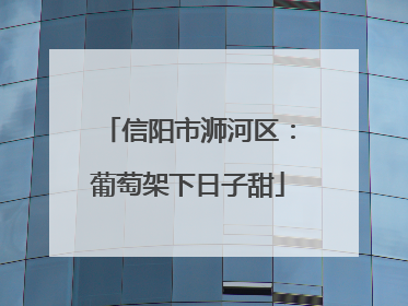 信阳市浉河区：葡萄架下日子甜