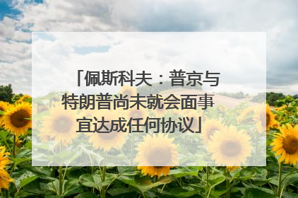佩斯科夫：普京与特朗普尚未就会面事宜达成任何协议