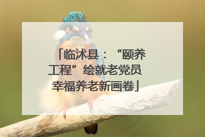 临沭县：“颐养工程”绘就老党员幸福养老新画卷