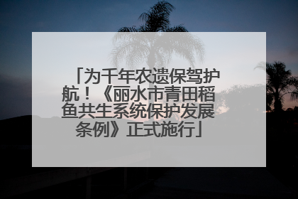为千年农遗保驾护航！《丽水市青田稻鱼共生系统保护发展条例》正式施行