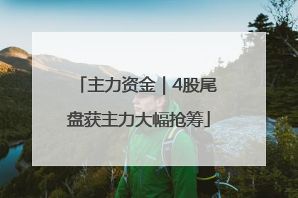 主力资金｜4股尾盘获主力大幅抢筹