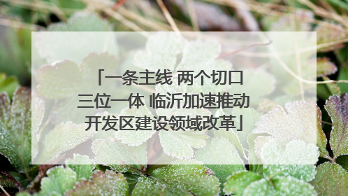 一条主线 两个切口 三位一体 临沂加速推动开发区建设领域改革