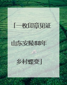 一枚印章见证山东安陵88年乡村蝶变