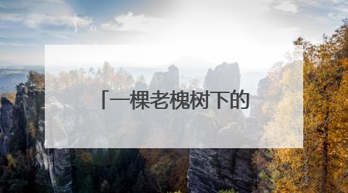一棵老槐树下的百年大连记忆