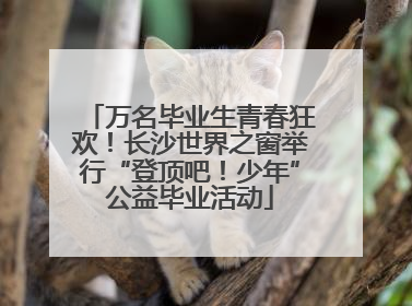 万名毕业生青春狂欢！长沙世界之窗举行“登顶吧！少年”公益毕业活动