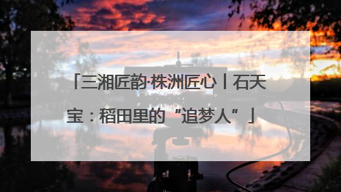 三湘匠韵·株洲匠心丨石天宝：稻田里的“追梦人”