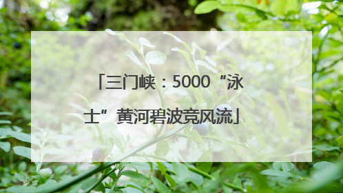 三门峡：5000“泳士”黄河碧波竞风流