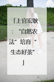 上官宏耿：“自然农法”培育“生态好茶”