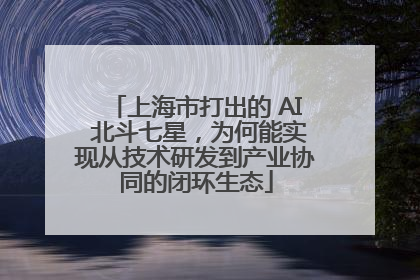 上海市打出的 AI 北斗七星，为何能实现从技术研发到产业协同的闭环生态