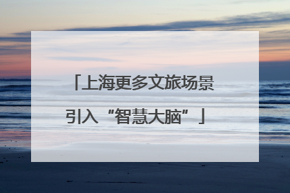 上海更多文旅场景引入“智慧大脑”