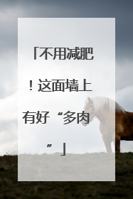 不用减肥！这面墙上有好“多肉”