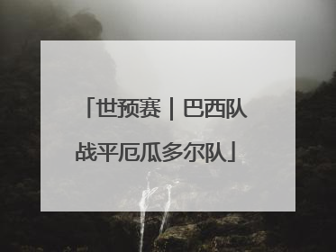 世预赛｜巴西队战平厄瓜多尔队