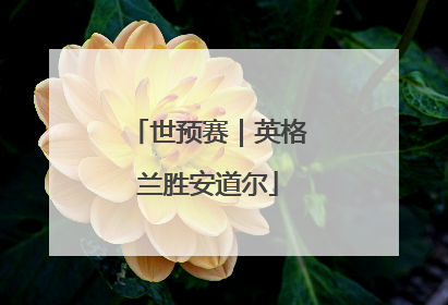 世预赛｜英格兰胜安道尔